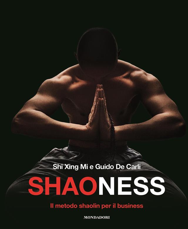 SHAONESS 300 (2)