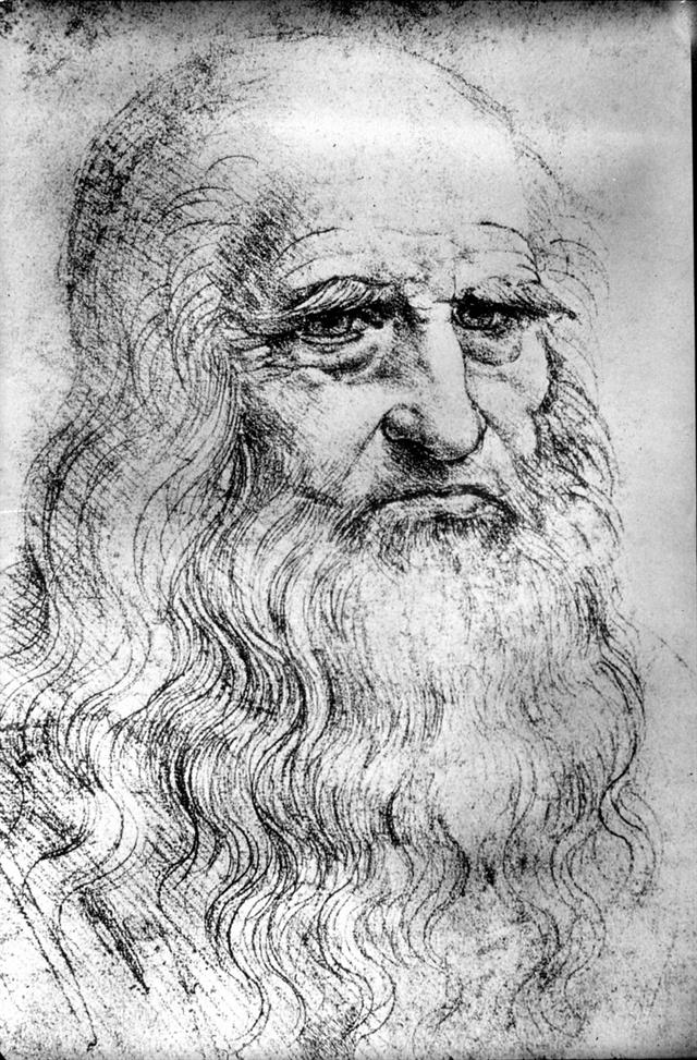 Leonardo Da Vinci 40396 2 Raw