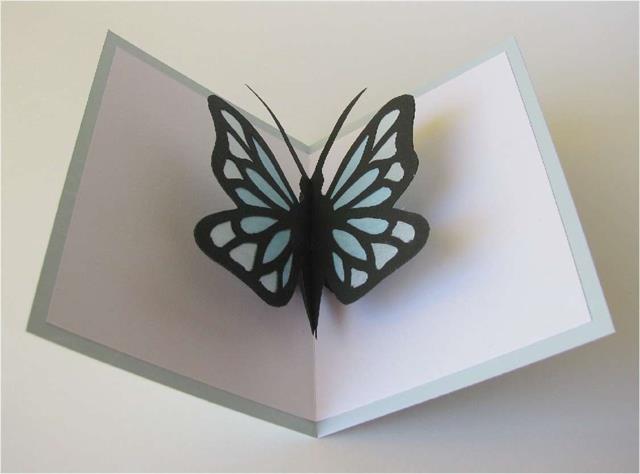 Farfalla Bicolore Pop Up